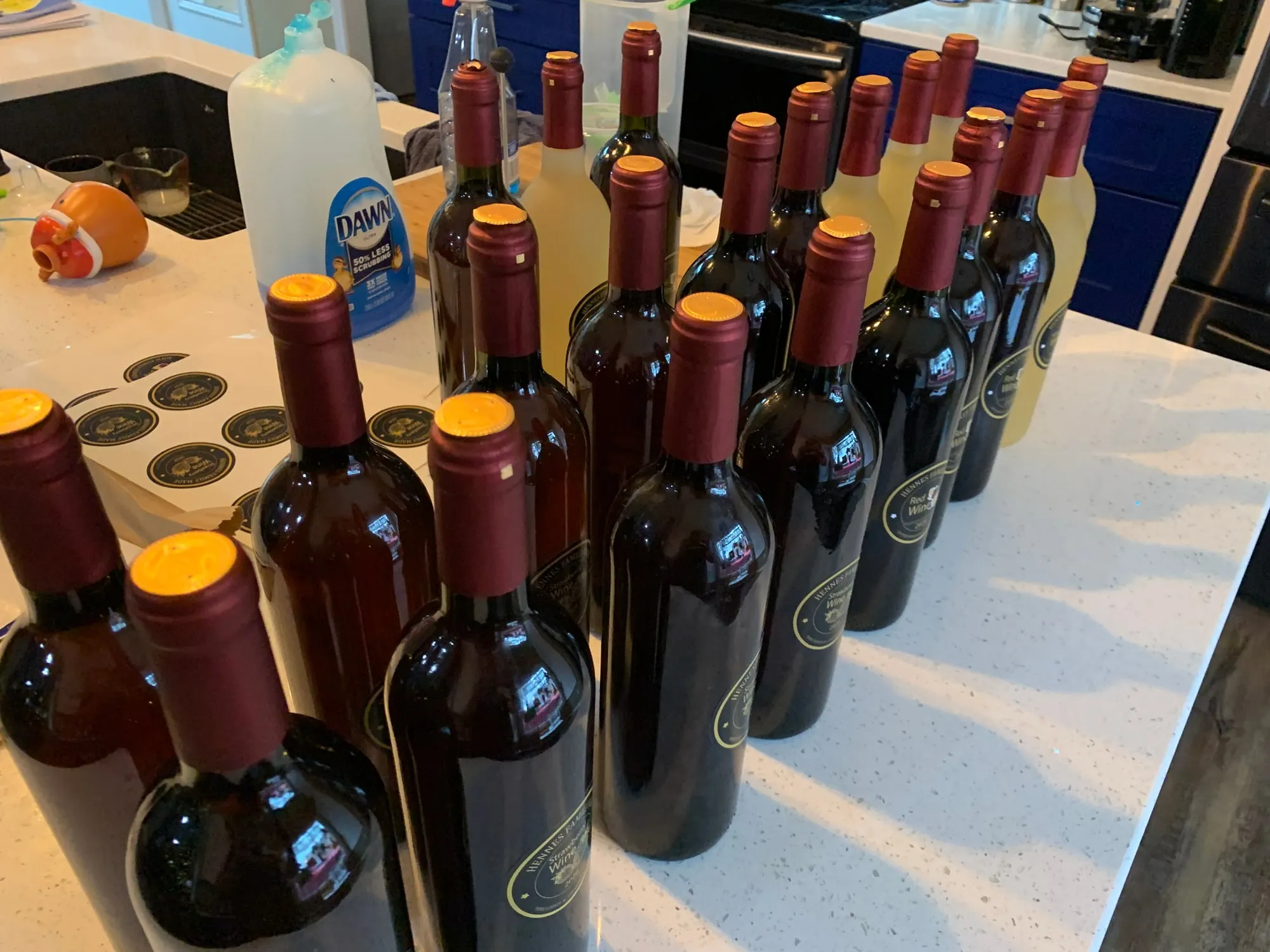 Rows of wine bottles David made at home