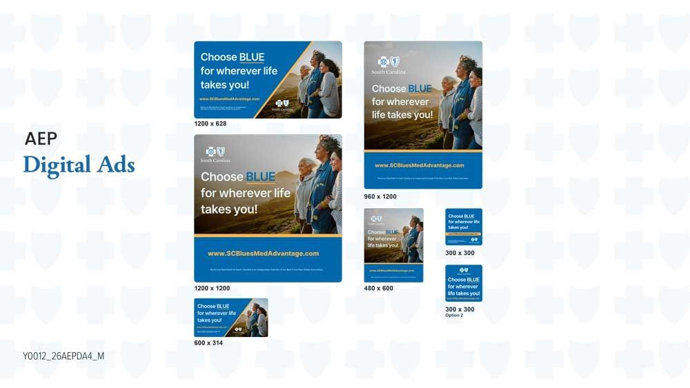 Annual Enrollment Period digital ad set: "Choose BLUE for wherever life takes you"