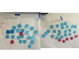 Card sorting results with blue and pink sticky notes labeled Training and Support